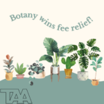 History wins seg fee (3)